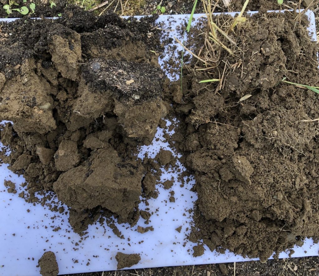 a comparison in the soil structure in two of our no-till fields